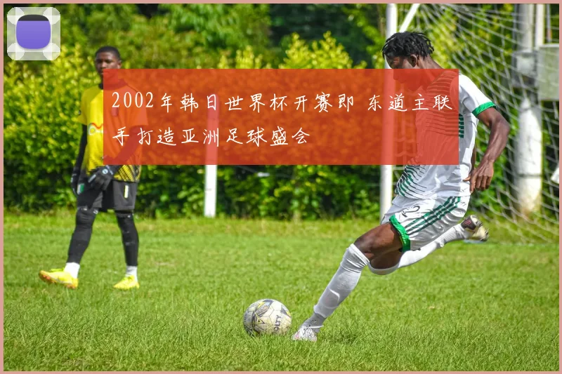 2002年韩日世界杯开赛即 东道主联手打造亚洲足球盛会