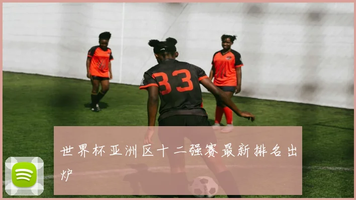 世界杯亚洲区十二强赛最新排名出炉